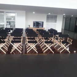 director chair